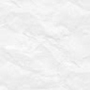 Meet your Posher, Whitney